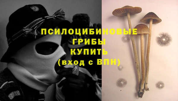 jwh Нязепетровск