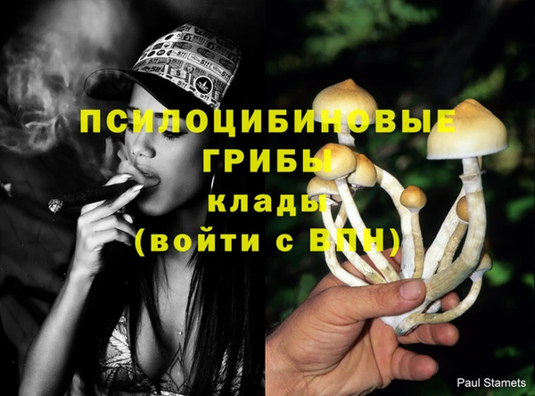 герыч Няндома