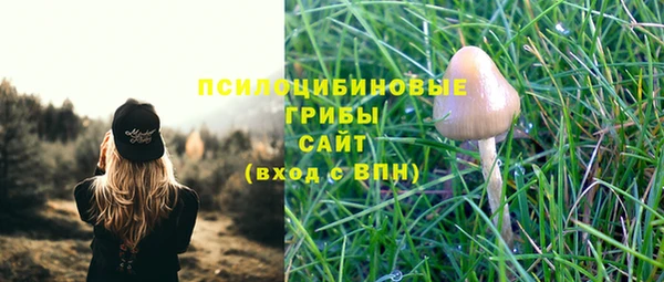 jwh Нязепетровск
