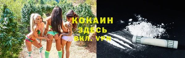 трава Нягань