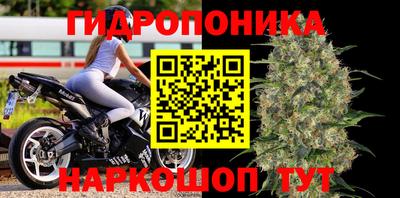 гашик Гусь-Хрустальный