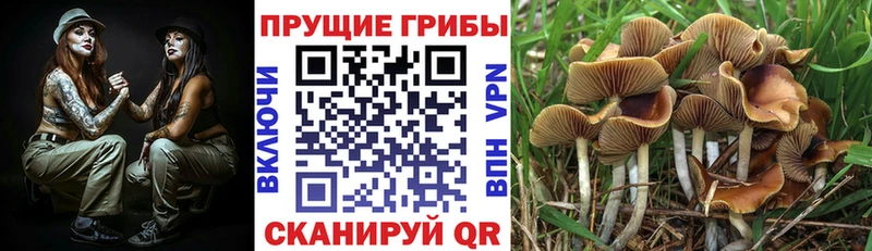 закладки  kraken маркетплейс  Галлюциногенные грибы MAGIC MUSHROOMS  Ишимбай 