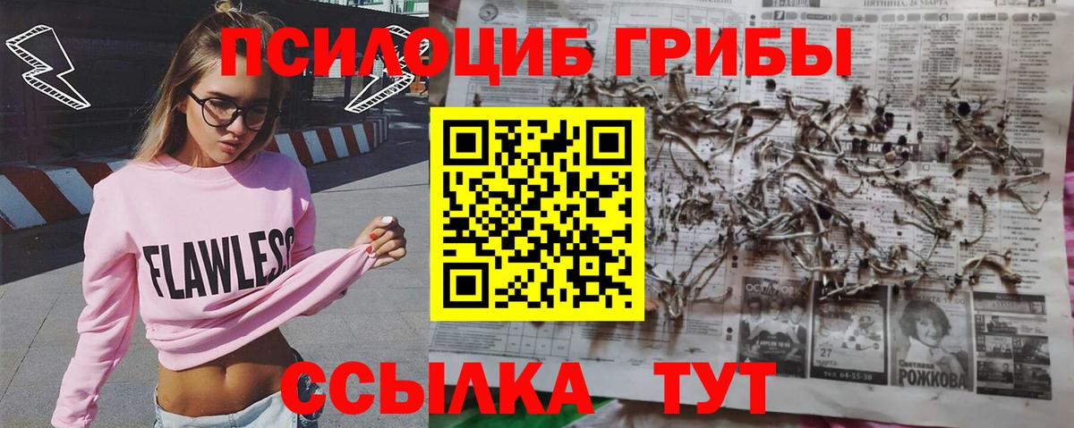 Галлюциногенные грибы Psilocybe  Ишимбай 