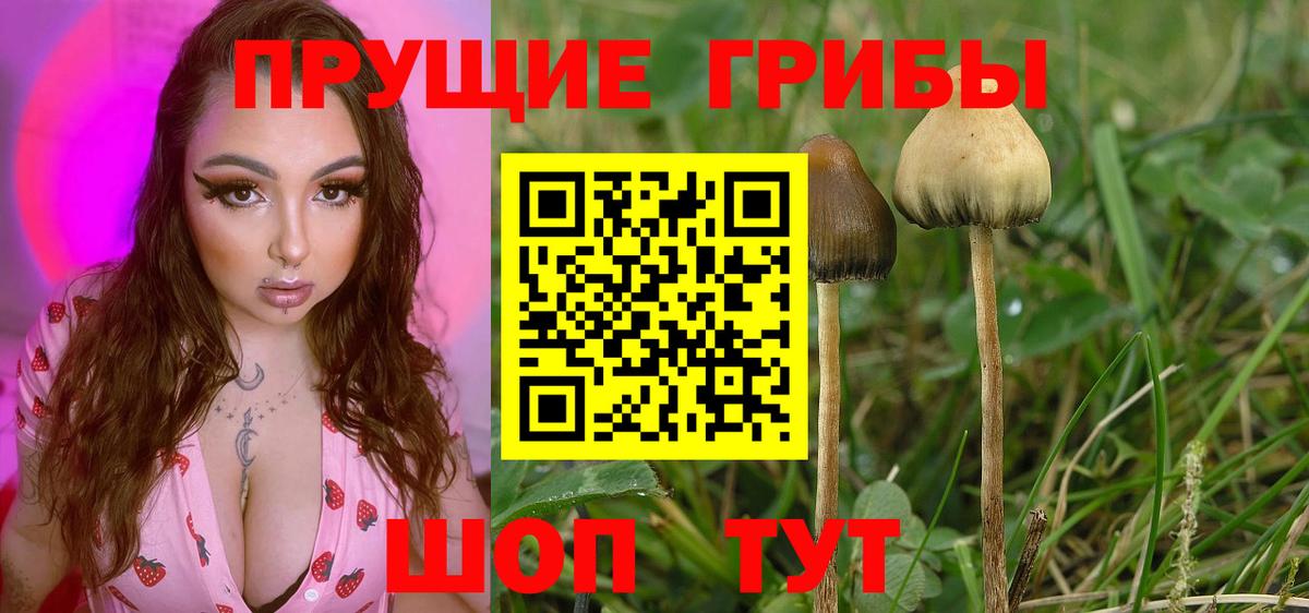 Галлюциногенные грибы GOLDEN TEACHER  Вход с VPN  Галлюциногенные грибы GOLDEN TEACHER  Ишимбай 